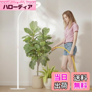 �y���������zbseah�����A���������A�S�X�y�N�g�������������A3��ނ̃��[�h��10���̒��� �F�F�z���C�g�A�T�C�Y�F��^-��