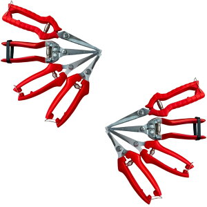 yzYESprime  oT~ nT~ K[fjO |pi ~ }؂ L _ ؂ꖡ  |  G_L   4Zbg