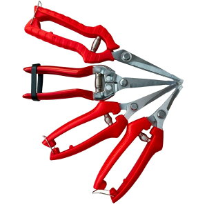 yzYESprime  oT~ nT~ K[fjO |pi ~ }؂ L _ ؂ꖡ  |  G_L   4Zbg