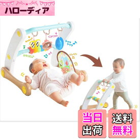 【送料無料】うちの赤ちゃん世界一 (R) スマート知育ジム&ウォーカー 色：混合カラー、サイズ：ワンサイズ