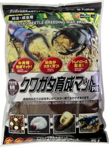 yztWR NK^琬}bg ̑ TCYF