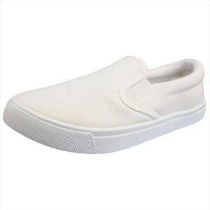 yz[A~A~] Xb| Xj[J[ V[Y JWA Vv fB[X C  Y FKL004 FFzCg/LoXATCYF23.5 cm