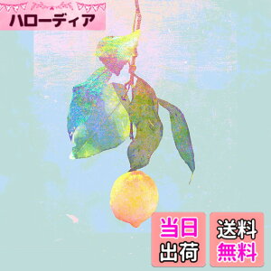 �y���������zLemon(�f���� �������)(DVD�t��)