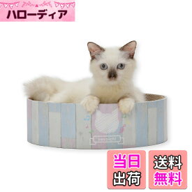 【送料無料】猫壱(necoichi)バリバリボウル 色：ホワイト、サイズ：d) 子猫用