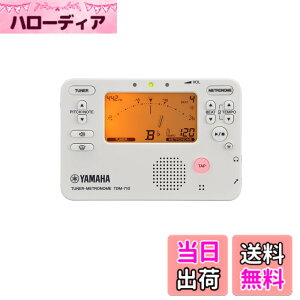 �y���������zYAMAHA TDM-710 �F�F�A�C�{���[