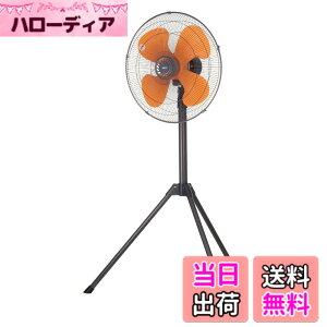 �y���������z�L�d(KODEN)�����H���H�Ɛ� �F�F�_�[�N�O���C�A�T�C�Y�F�O�r�^