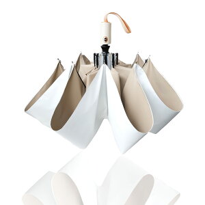 yz肽ݎP P ̓̃v[glC P fB[X J 傫 SՌ UVJbg 100 ꋉՌ ܂肽  Jp ^b` ܂ȂP Y  