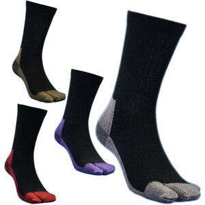 yz[nV] C Y R wt zVNŏꂸɉKIjɂSCɍœK\bNX ȁIȂVN 2d 2{w 4g 25`27cm SI768 FFubNATCY