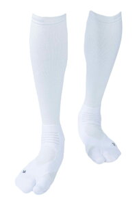 yz[e[W] AX[gEhPRO(v) v2 St\bNX (25-27cm, zCg) { Y/fB[X ~ iK nC\bNX Stp C IF37 FFzCg