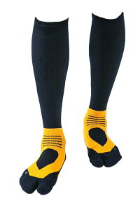 yz[e[W] AX[gEhPRO(v) v2 St\bNX (25-27cm, CG[) { Y/fB[X ~ iK nC\bNX Stp C IF37 FFCG[