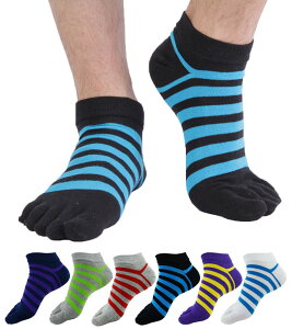 yz[WIOIW] 5{w\bNX Y X|[c ܖ{w  jO \bNX I[V[Y 5{wC 6Zbg FF#19(V[g6)ATCYFFree Size