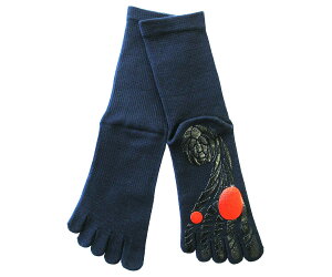 yz[Kbc}] St̂߂̊Ȃܖ{w\bNX(25-27cm) Stp ip ~ ܖ{wC X|[c g[jO Obv 񒣂 Mtg v[g FFlCr[