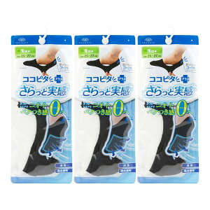 yz[IJg] EȂ RRs^ Ǝ Y tbgJo[ 󗚂 L bV z [t@[p D480-510 FFubNATCYF25-27 cm