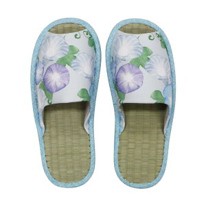 yz[FASPROJECT]  Xbp OD bV |  C\[ fB[X (M `25cm /   /sN u[ CG[ O[) vg  Ђ  u₩ 