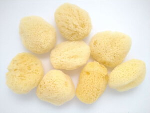 yzVRCȃVN 4`5cm ӂӂ \tg Tj^[ z  t@f[V V[X|W pt VRf FFi`