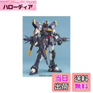 �y���������zMG 1/100 F91 �n���\���E�}�f�B����p �K���_��F91 (�@����m�N���X�{�[���E�K���_��) �F�F�u���[�A�T�C�Y�F�����T�C�Y