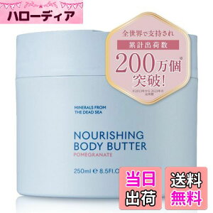 yzSEACRET {fBo^[ {fBN[ V[Nbg {fBo[ {fB~N {fBPA (250ml, UN) TCYF250ml