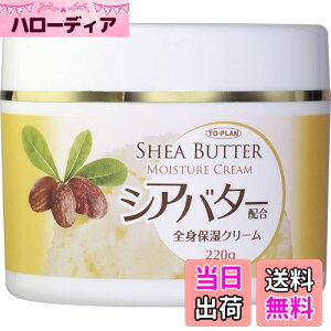 yzTO-PLAN(gv) VAo^[zSgێN[ 220g FFzCgATCYF220O (x 1)