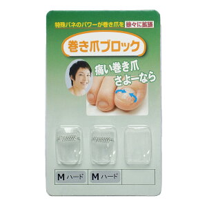 yz܃ubN ␳Pi MTCYn[h TCYF2 (x 1)