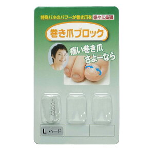 yz܃ubN ␳Pi LTCYn[h TCYF1 (x 1)