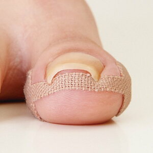 yz܃PAe[v ܃e[v40i1V[gF4j ܃V[ PA