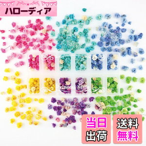 �y���������zPrincess-style �����ݑ� �h���C�t�����[ �ԓ� �炢���� �l�C�� ���W�� ���� �f�� �ޗ� �ԍ� 12�}�X�P�[�X���� 6�F�Z�b�g �F�F�s���N �u���[ �C�G���[ �p�[�v�� �O���[���A�T�C�Y�F�X