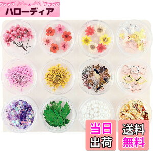 �y���������zPrincess-style ���W���p�[�c ���炫��o�^�t���C���� �l�C�� ���W�� ������ �ޗ� 12��ރZ�b�g �F�F�}�����A�T�C�Y�F12�A�\�[�g