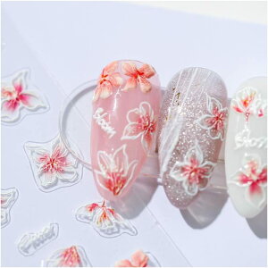 yzCOLORBIRD lCV[ Ղ  p[c t[ ԕ   sN  FFsN