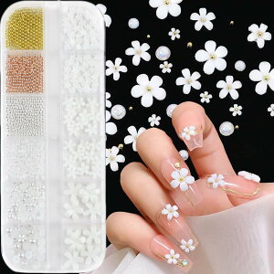 yzlCA[g 3Dt[fR[VZbg  lCA[g   uI ~p[ WG[p[c lCfRp[c r[Y t[ p[c zCg  3D