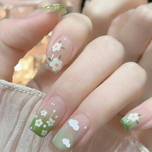 yzHAPVITAL 24 lC`bv Z @[ŖtẴgh  3D \邾ȒP JԂg  lCfUC U WFlC lCV[  lCA[g l