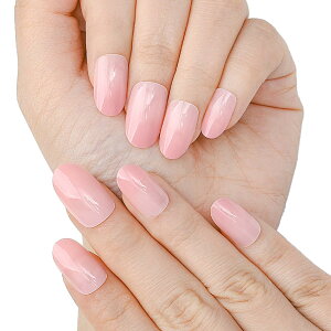 yzSethexy 24lC`bv OA[h `bv CXg[  vXIlC p[ }Olbg  ̃[t 3D { lۂ t M s