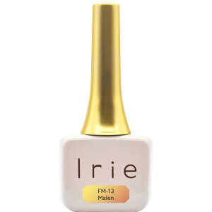 yzIrieiAC[j t@^W[}OXg[[ }[ FM-13 FFIW&CG[