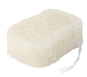 yzR{_ ɂႭX|W a̗ {fBp  N-07 FFATCYF1 (x 1)