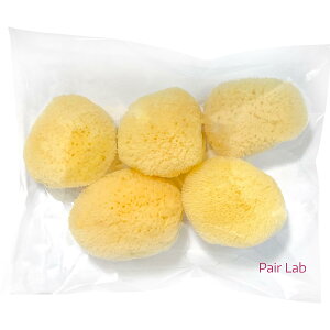 �y���������z�T�j�^���[�p�i �y�A���{ �V�R�C�� �V���N�� 5�T�C�YM(4-5cm) ���� �Ɩ��p �V���N�C�� �L�����ׂ����D�������G�� �F�F�i�`������