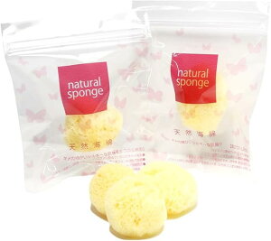 yzy3zHOKUTO ~jC VRCȁij pi X|W Ɩp V  WbvbN Tj^[ z  t@f[V fP[g][ FFCG[ATCY