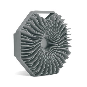 yzVR{fBuV {fBuV Cp R ̊pD菜Ĕ炩 p{fBuV jp FFO[