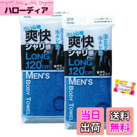 【送料無料】【泡立ち&水キレ良好 洗い心地爽快 シャリ感】 MEN'S BODY TOWEL LONG 体の大きな方も楽に洗える 背中もラクラク 28x120cm 【2個セット】 色：ブルー、サイズ：28x120cm