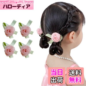 �y���������zGFun ������ �w�A�A�N�Z�T���[ �� �N���b�v 4�Z�b�g ���� �ԉΑ�� ������ �a�� ���l�� ���Ǝ� ������ ���\�� �m�� ���[�Y�Z�b�g