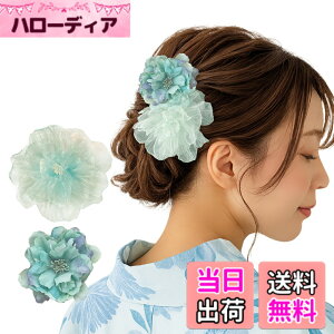 �y���������zGFun ������ �w�A�A�N�Z�T���[ �� �N���b�v 2�Z�b�g ���� �ԉΑ�� ������ �a�� ���l�� ���Ǝ� ������ ���\�� �m�� �c�o�L �F�F�u���[