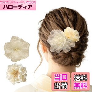�y���������zGFun ������ �w�A�A�N�Z�T���[ �� �N���b�v 2�Z�b�g ���� �ԉΑ�� ������ �a�� ���l�� ���Ǝ� ������ ���\�� �m�� �c�o�L �F�F�x�[�W��