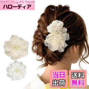 �y���������zGFun ������ �w�A�A�N�Z�T���[ �� �N���b�v 2�Z�b�g ���� �ԉΑ�� ������ �a�� ���l�� ���Ǝ� ������ ���\�� �m�� �c�o�L �F�F�z���C�g