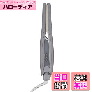 �y���������zNIS300B_Parent �F�F�X���[�L�[�O���[