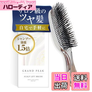 �y���������z�y���񂽂񓪔�P�A���c�����zGrand Peak �w�A�u���V ���[�|�[�`�t�� �X�J���v���t�g�u���V �����ї\�h ��� �}�b�T�[�W ���t�g�A�b�v �����C�p �����Y ���f�B�[�X �F�F�V���o�[