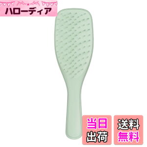 �y���������zTANGLE TEEZER �G�N�X�g�� �W�F���g�� �F�F���[�J���O���[���A�T�C�Y�FW65xH220xD30mm