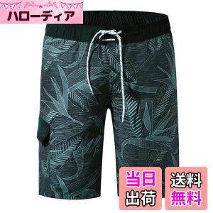 yz[NARANNBU] iu Y  T[tpc IV ʋC  bVCi[ Cp p 傫TCY M_4L FF02Du[ATCYFM