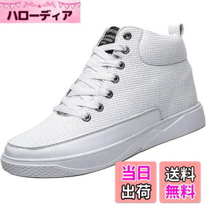 yz[ziitop] V[NbgV[YKp 6cm/8cmgAbv Y fB[X V[NbgXj[J[ nCJbgXj[J[ Y JWA jOV[Y X|[c y C 