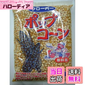 yzN[o[ |bvR[Ɩp 1kg TCYF1LO (x 1)