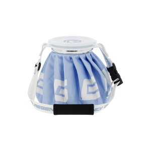 yzRegency [WFV[ XX ACVO X|[cp lp p ėp\ȕX ACXobO X̂ (O[) (XJCu[)