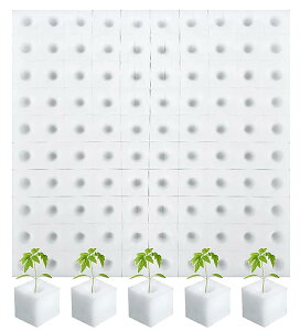 yzkX|WubN 100Zbg |E^X|W A̓X|W y͔||{|bg cؕcc[