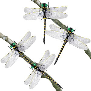 yzMIMIMACHI 悯g{ ɂ Ij} g{ x  12cm {Ƃ I悯  x_ Ԍ AEghA ނ St Ro ƒ؉  XYo` 